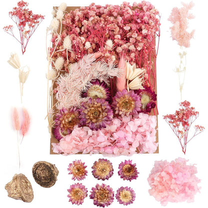 Getrocknete Blumen Rosa-Weiß für DIY & Deko