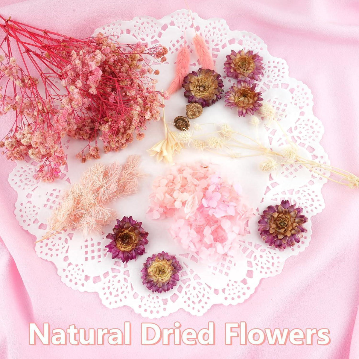 Getrocknete Blumen Rosa-Weiß für DIY & Deko
