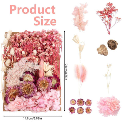 Getrocknete Blumen Rosa-Weiß für DIY & Deko