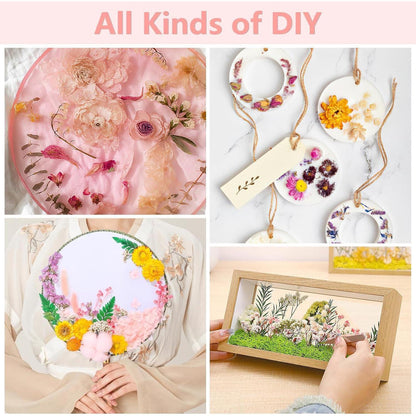 Getrocknete Blumen Rosa-Weiß für DIY & Deko