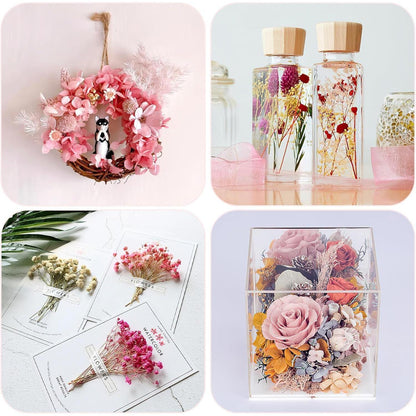 Getrocknete Blumen Rosa-Weiß für DIY & Deko