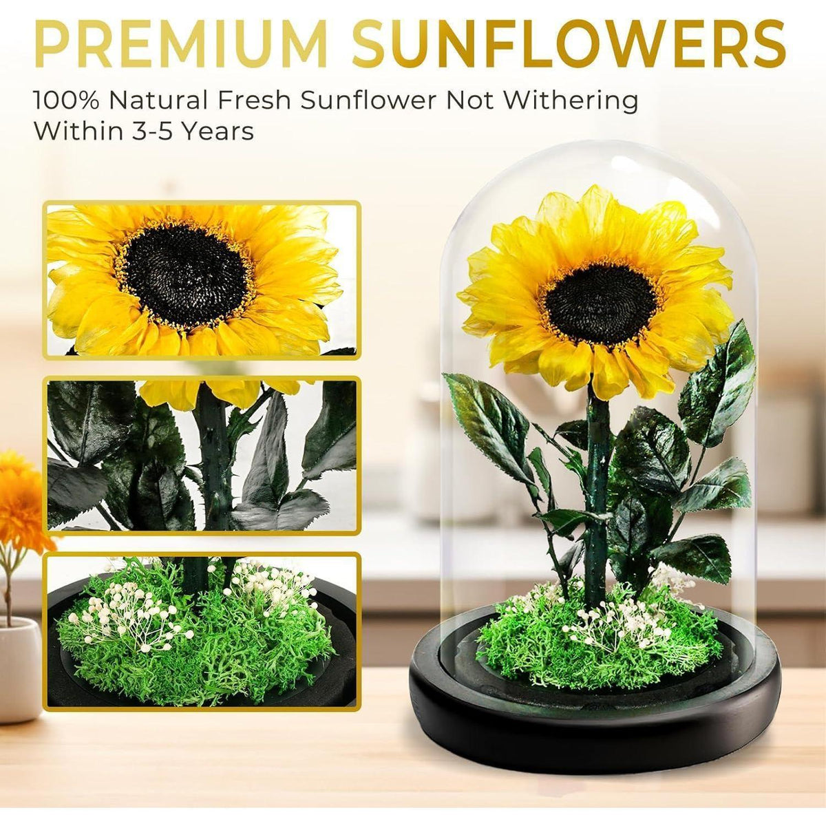 Konservierte Sonnenblume im Glas - Ewiges Muttertagsgeschenk
