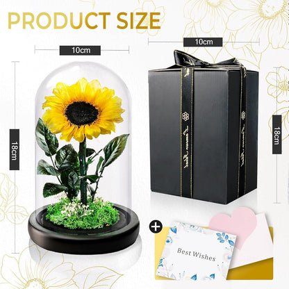 Konservierte Sonnenblume im Glas - Ewiges Muttertagsgeschenk