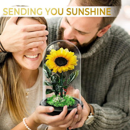 Konservierte Sonnenblume im Glas - Ewiges Muttertagsgeschenk