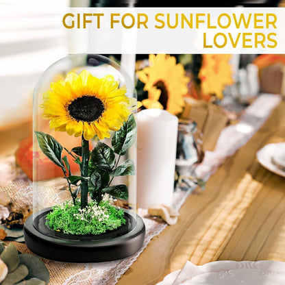 Konservierte Sonnenblume im Glas - Ewiges Muttertagsgeschenk