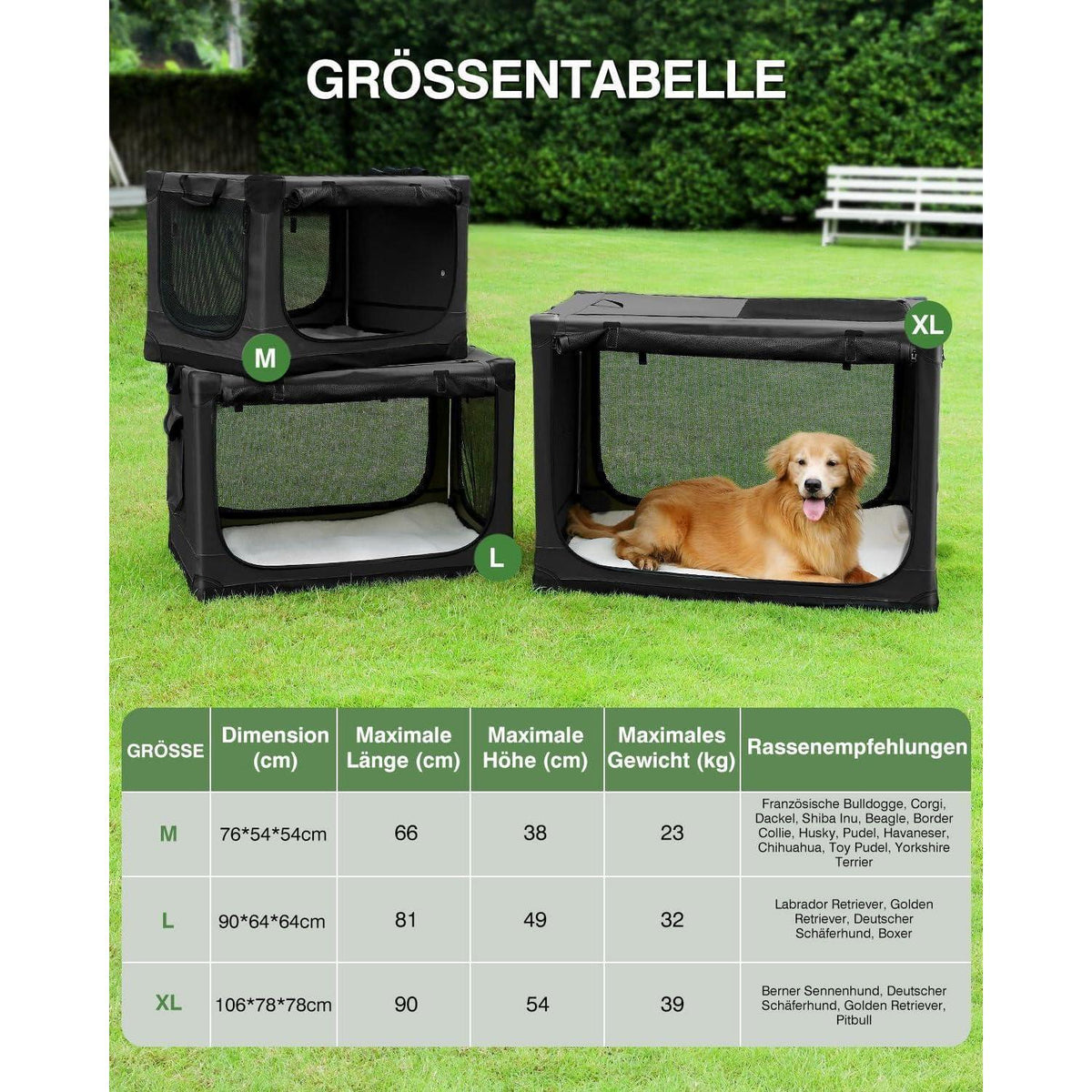 Faltbare Hundebox für mittelgroße Hunde – Reisebox mit Bett