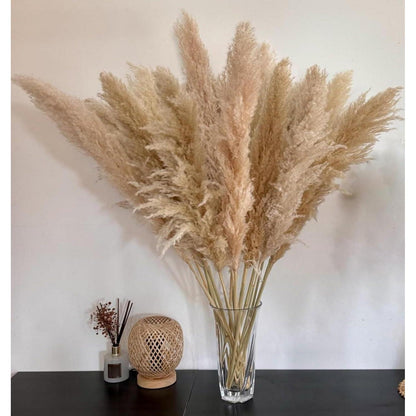 Großes Pampasgras Strauß (15 Stk) – 100cm Boho Deko