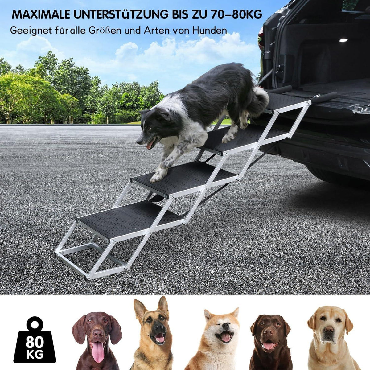Hundetreppe Auto, 4 Stufen – Klappbar & Höhenverstellbar