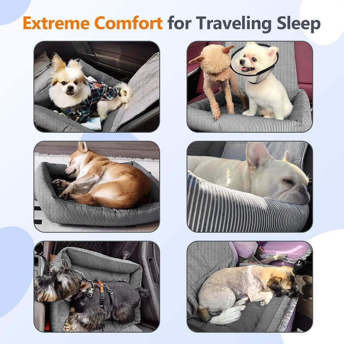 Hundeautositz für kleine Hunde – Komfort & Sicherheit