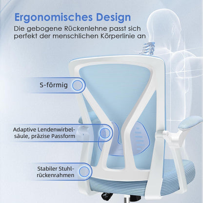 Ergonomischer Bürostuhl Lendenwirbelstütze Testsieger Blau