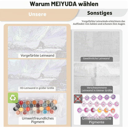 Malen nach Zahlen Nordlicht Erwachsene DIY Ölgemälde Set