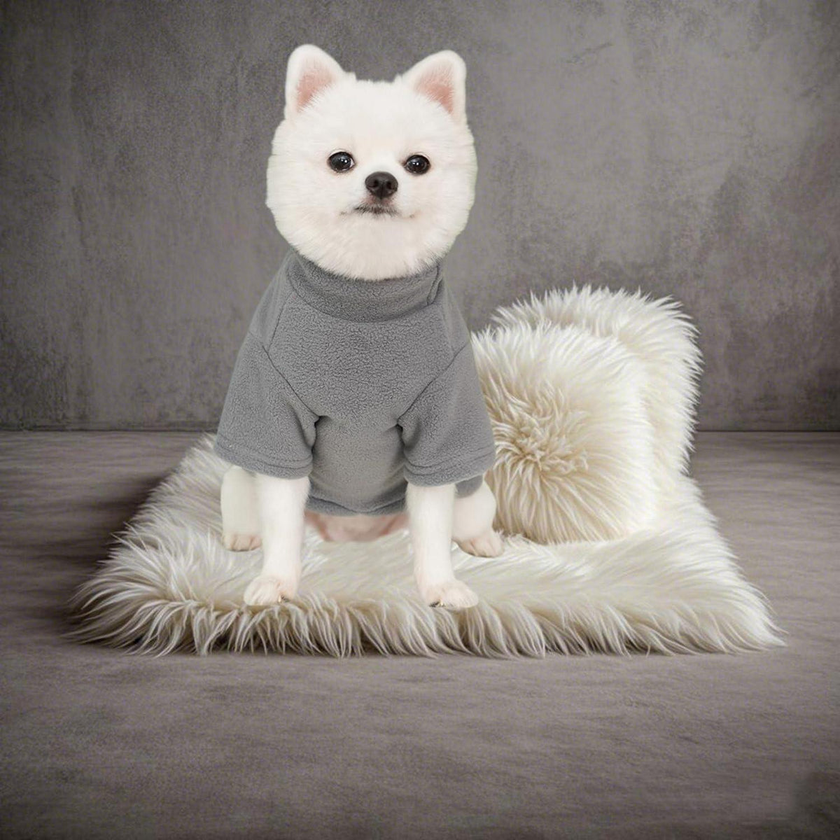 2er/3er Fleece Hundepullover – Warmer Rollkragen Sweater für kleine Hunde (Grau, Grün, Blau, S)