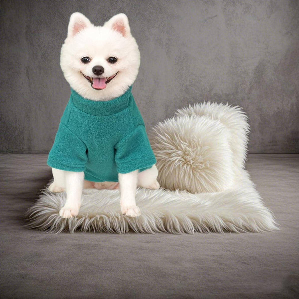 2er/3er Fleece Hundepullover – Warmer Rollkragen Sweater für kleine Hunde (Grau, Grün, Blau, S)