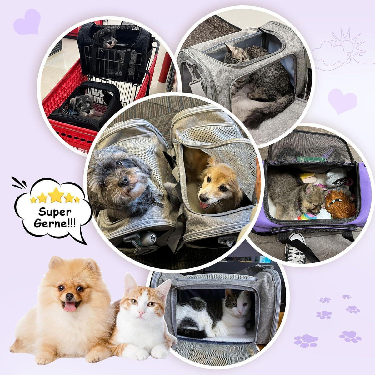 Faltbare Katzentransportbox L – Tragetasche für Katze & Hund 5kg