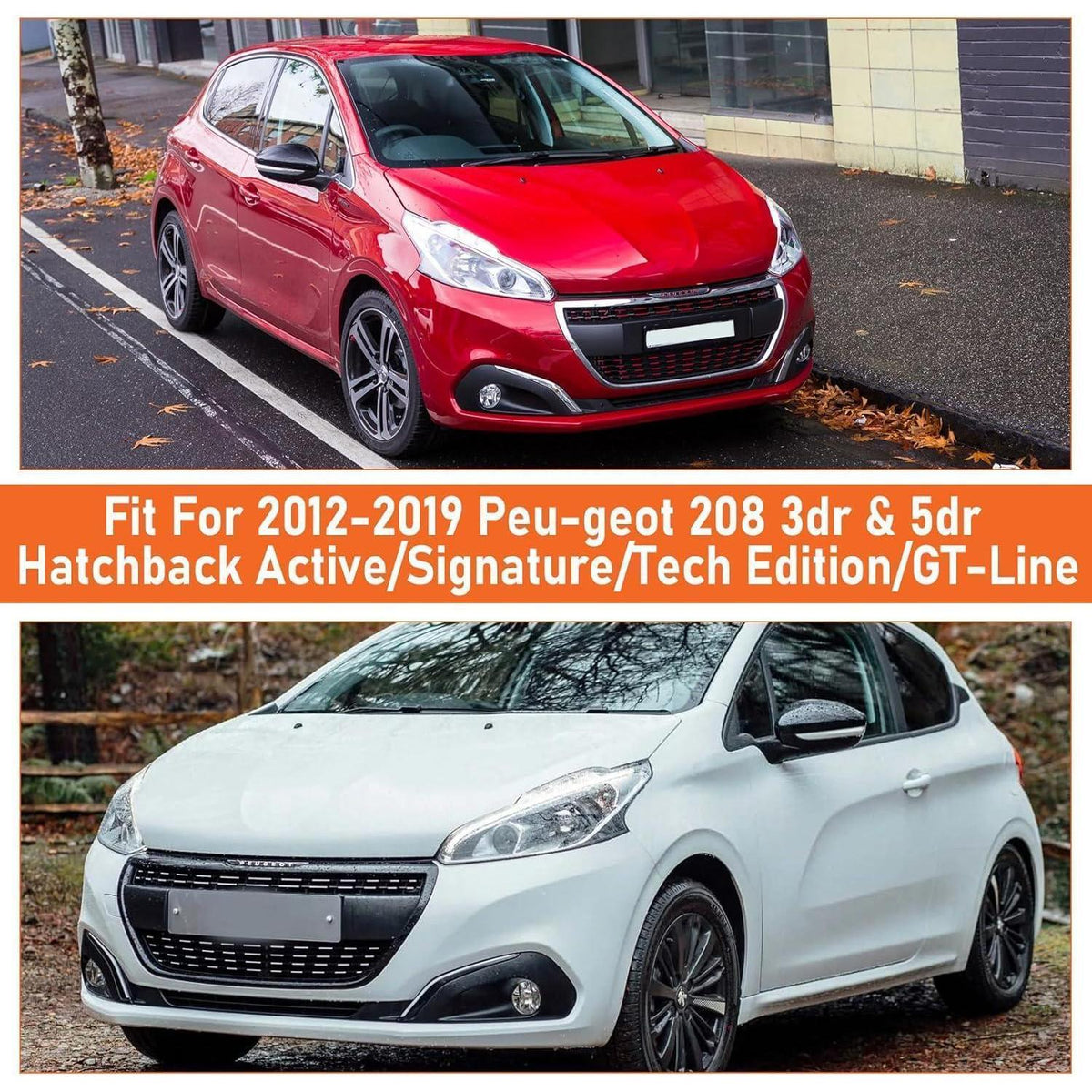 Autoabdeckung Peugeot 208 2012-2019, wasserdicht & atmungsaktiv