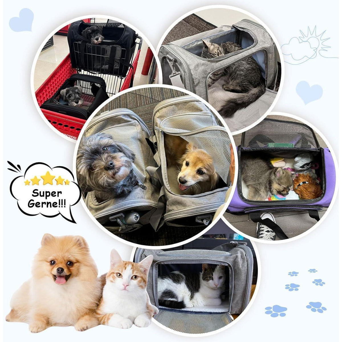 Faltbare Katzentransportbox für Hunde – Tragbar, Dunkelblau, 5kg
