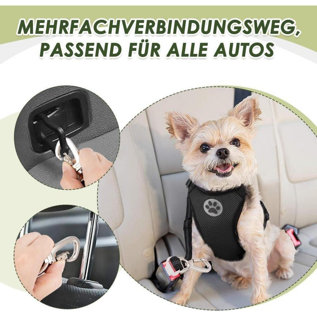 2x Hunde Sicherheitsgurt Auto – Verstellbar & Ruckdämpfend