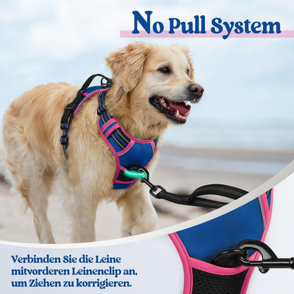 Hundegeschirr mittel, Anti-Zug, Blau & Rosa, Größe S