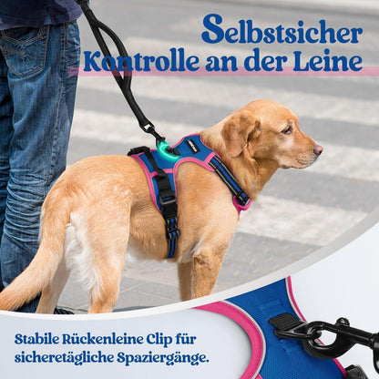 Hundegeschirr mittel, Anti-Zug, Blau & Rosa, Größe S
