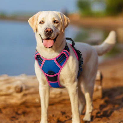 Hundegeschirr mittel, Anti-Zug, Blau & Rosa, Größe S