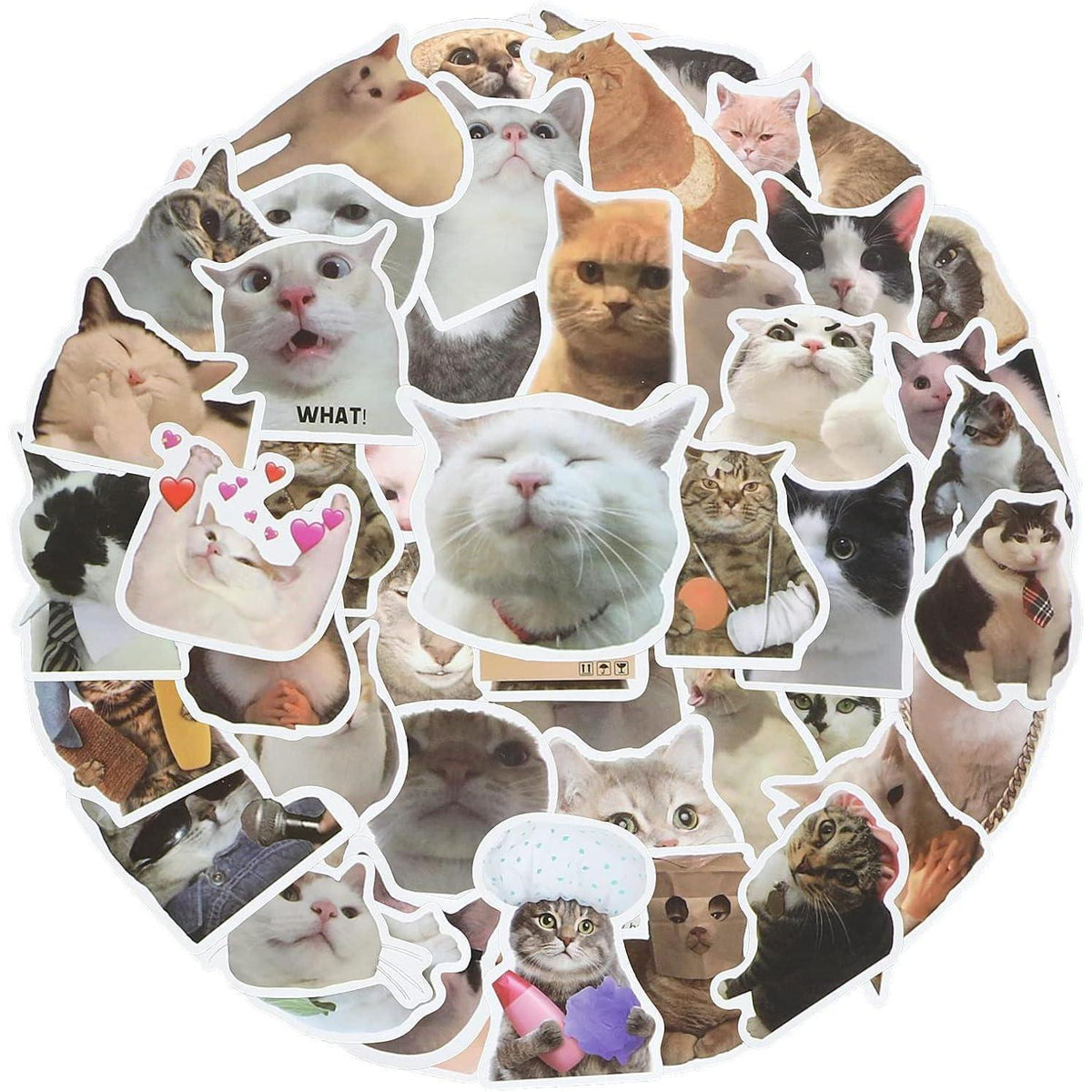 100 Katzen Meme Aufkleber – Wasserdicht & Kreativ