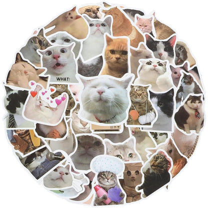 100 Katzen Meme Aufkleber – Wasserdicht & Kreativ