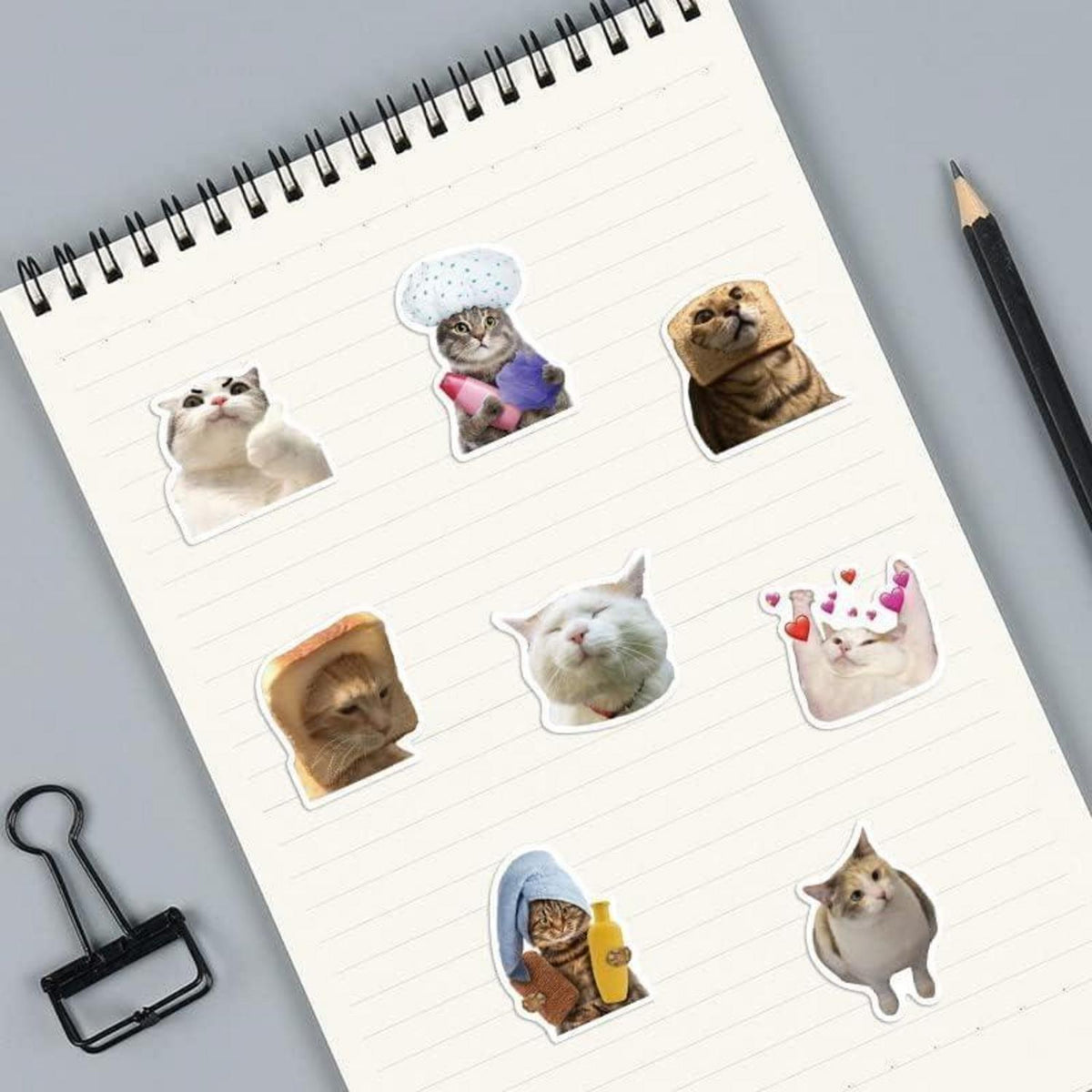100 Katzen Meme Aufkleber – Wasserdicht & Kreativ