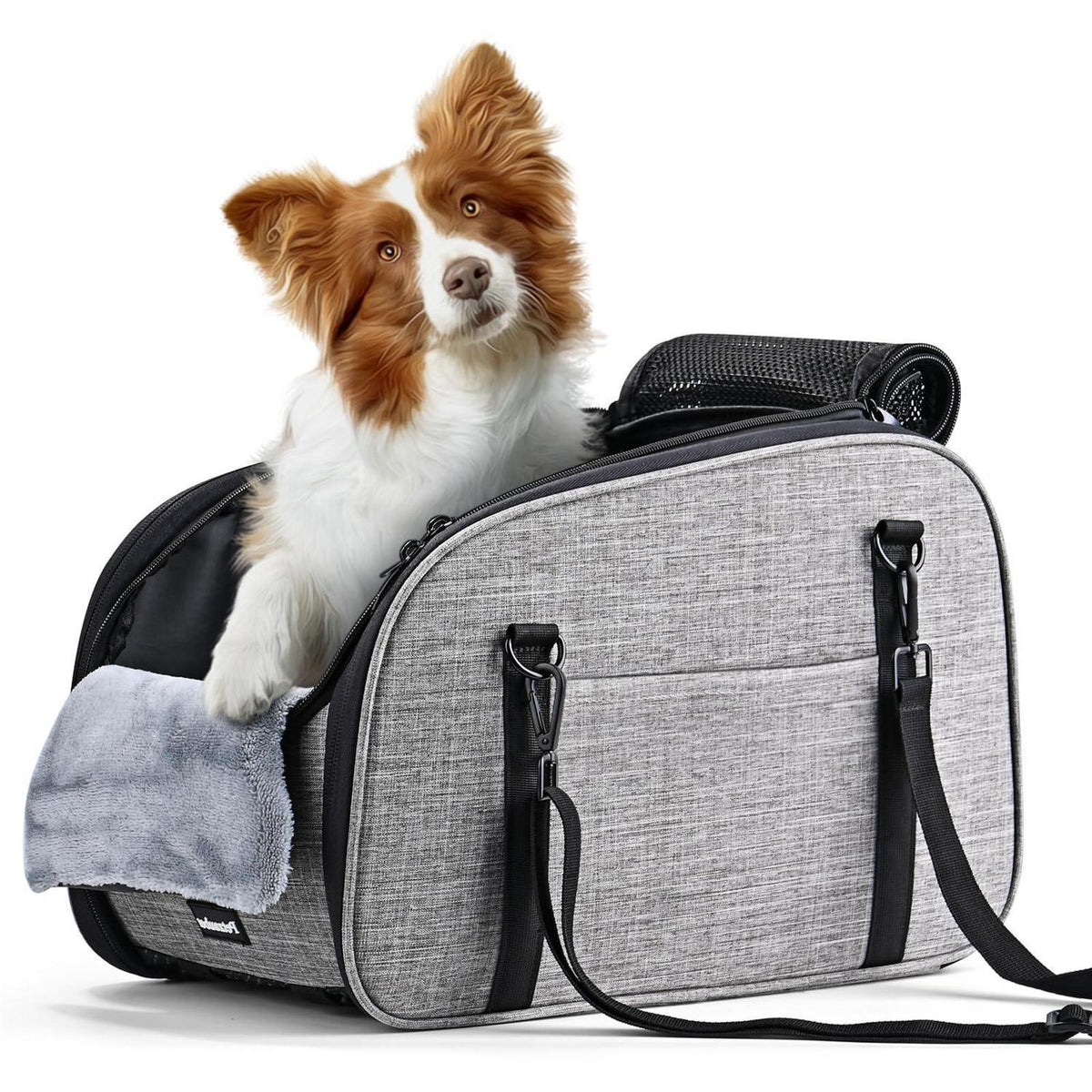 Hunde Autositz für Kleine Hunde – Sicher & Bequem für Mittelkonsole