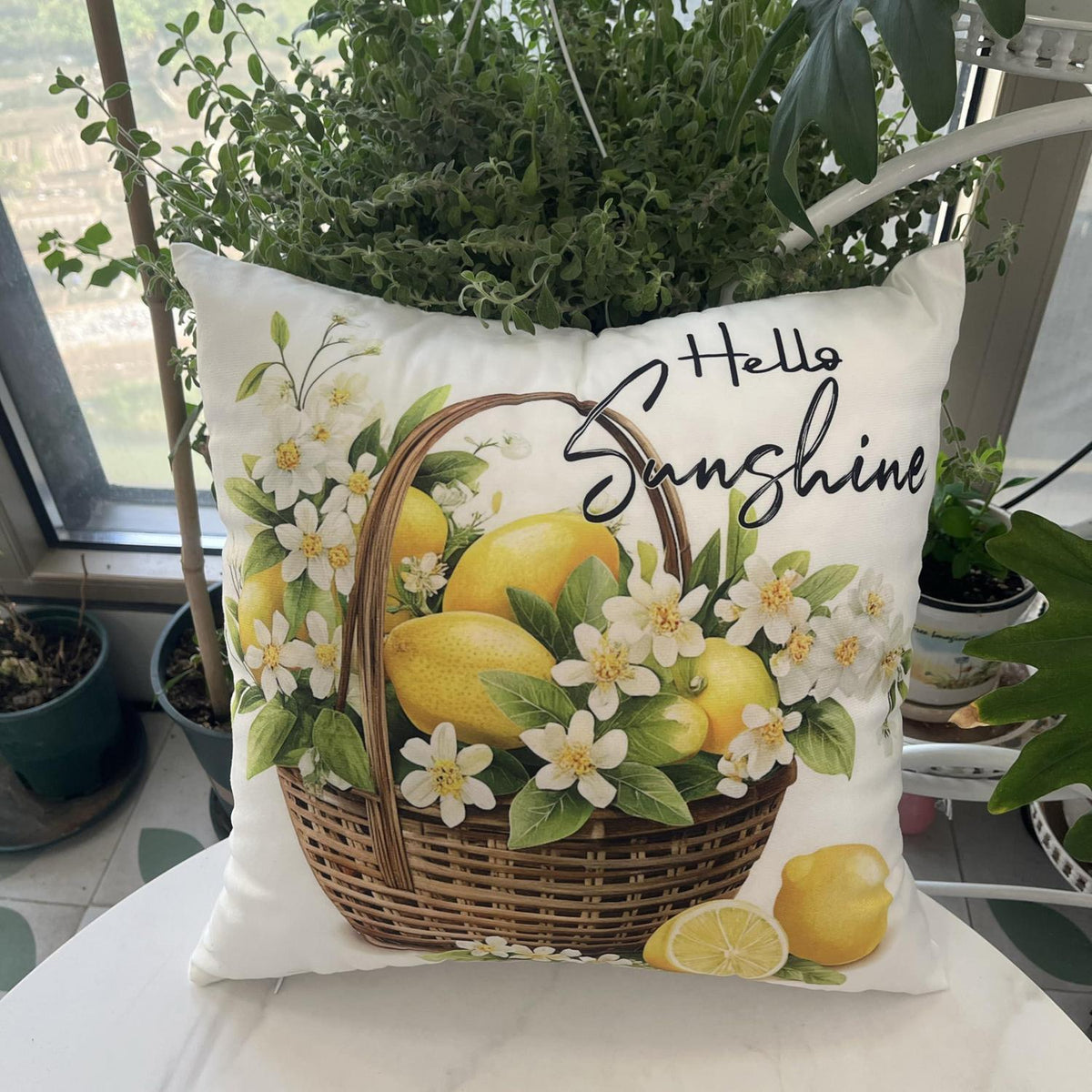 Samt Kissenbezüge 45x45 Set - Weiche Dekokissen für Zuhause