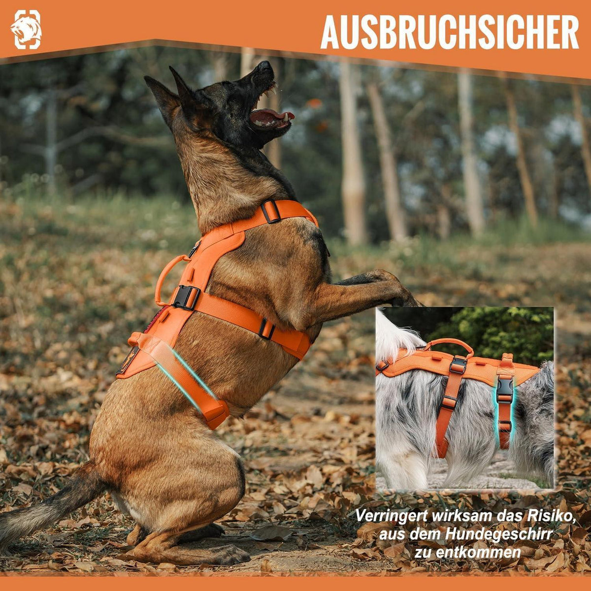 Taktisches Hundegeschirr Orange XL – Atmungsaktiv & Sicher