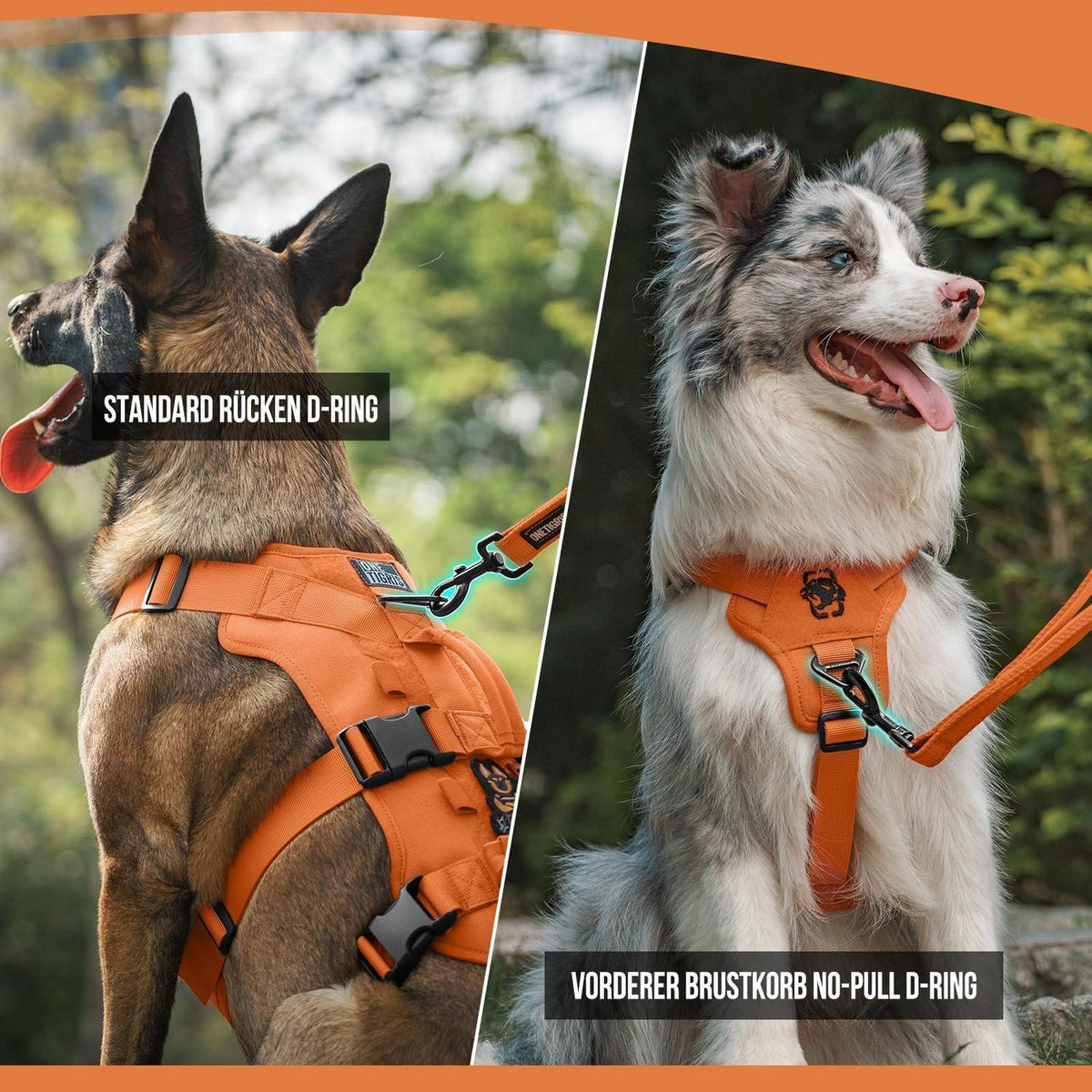 Taktisches Hundegeschirr Orange XL – Atmungsaktiv & Sicher