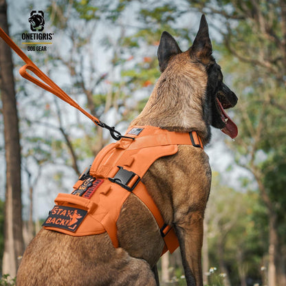 Taktisches Hundegeschirr Orange XL – Atmungsaktiv & Sicher