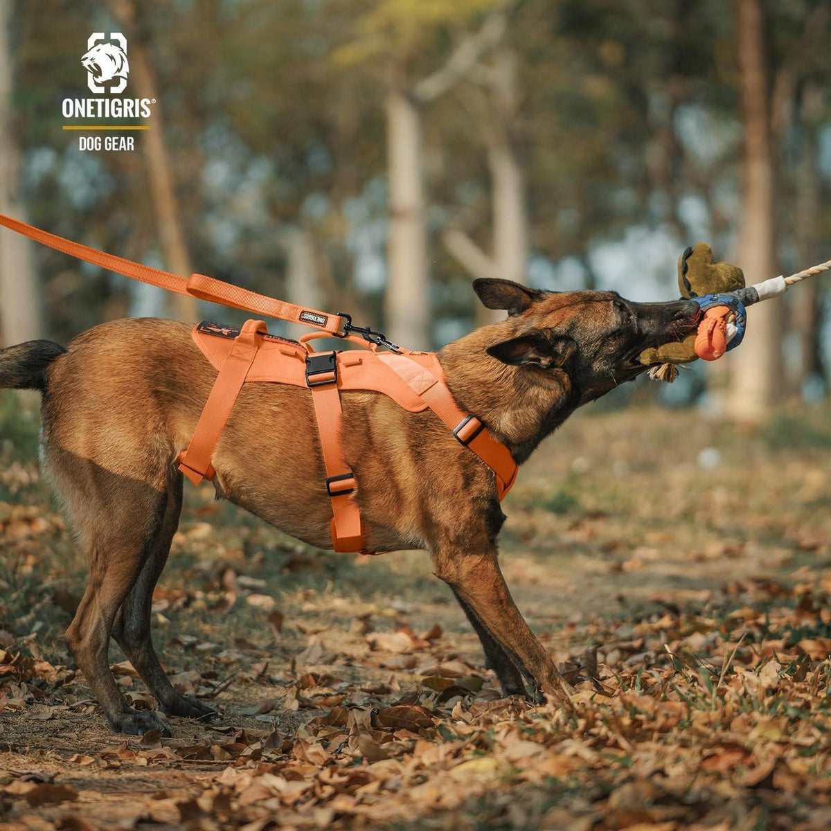 Taktisches Hundegeschirr Orange XL – Atmungsaktiv & Sicher