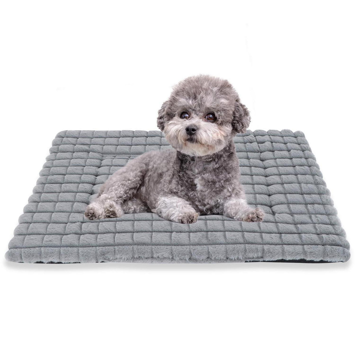 Flauschiges Orthopädisches Hundebett 60x45cm Grau