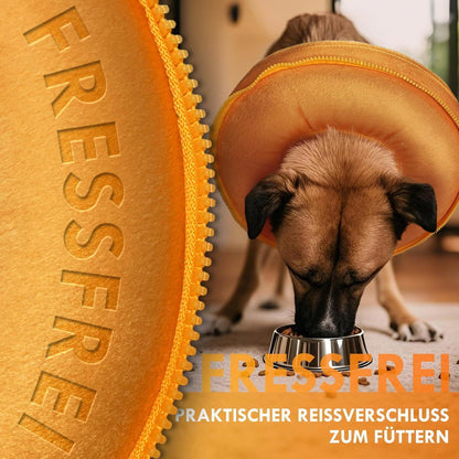Aufblasbare Hundehalskrause 2in1 – Leckschutz & Komfort [Größe 2]