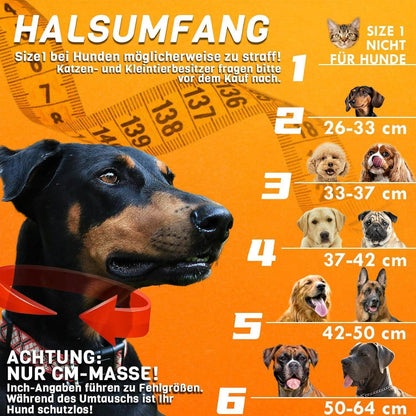 Aufblasbare Hundehalskrause 2in1 – Leckschutz & Komfort [Größe 2]