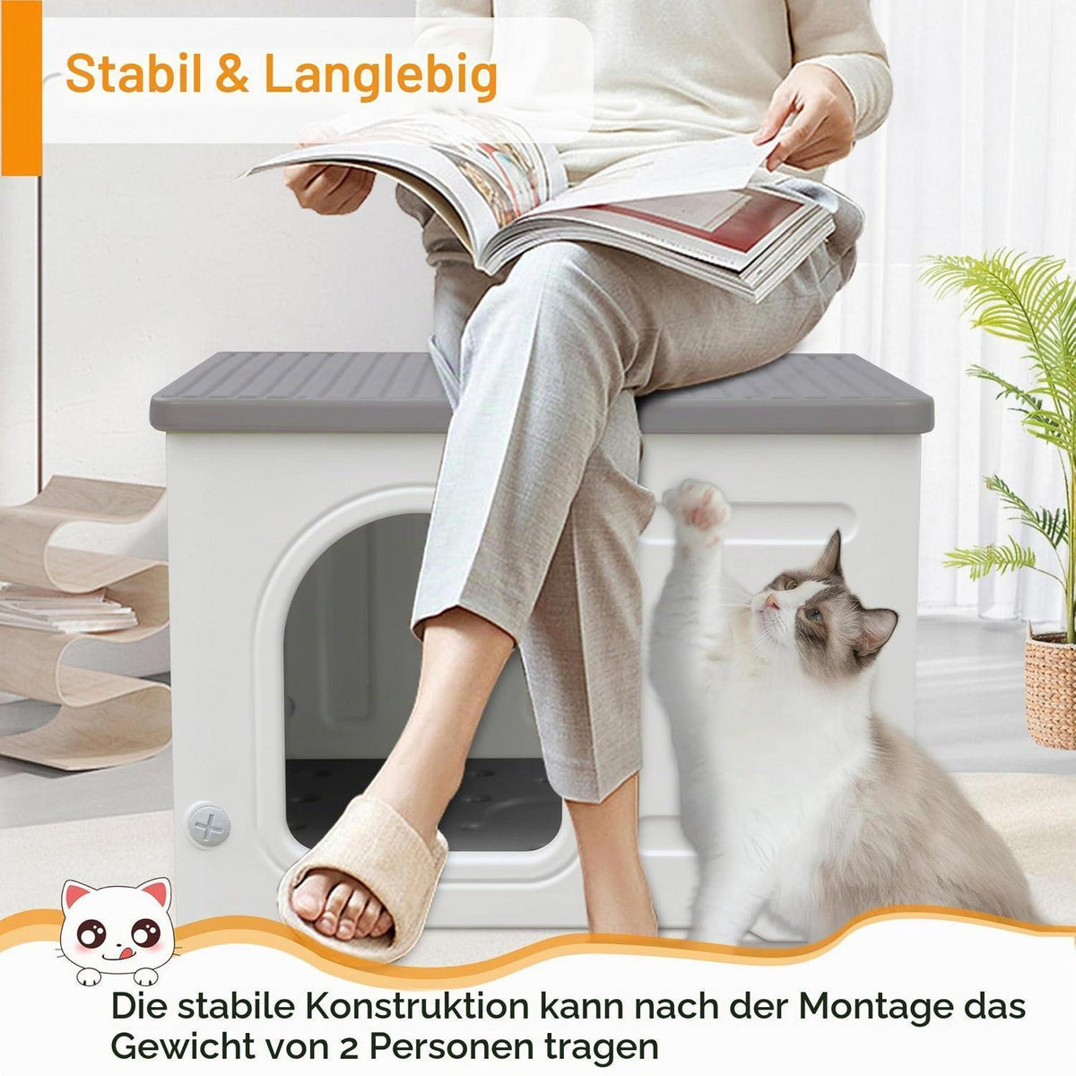 Isoliertes Katzenhaus Outdoor Winterfest mit Flachdach