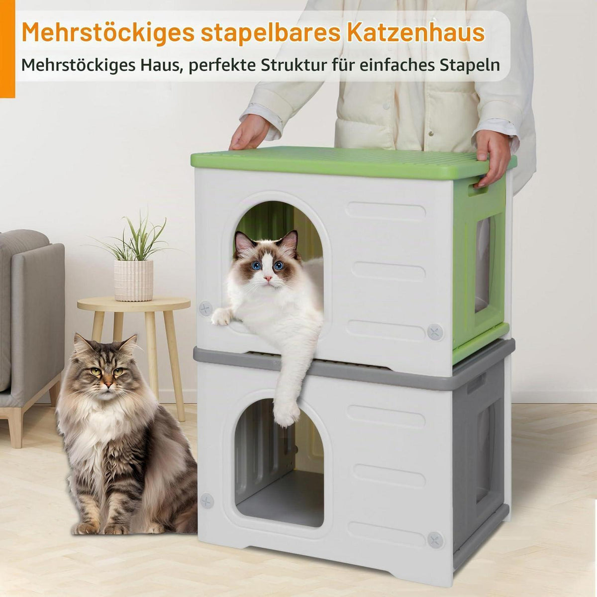 Isoliertes Katzenhaus Outdoor Winterfest mit Flachdach