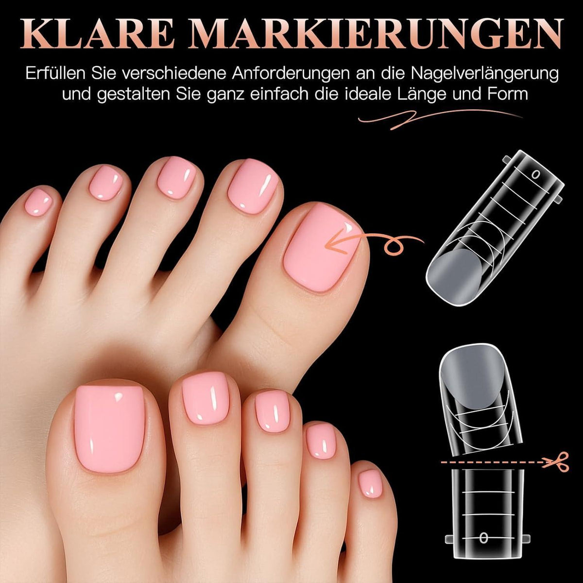 120 Dual Form Fußnägel Polygel mit Skalenlinien