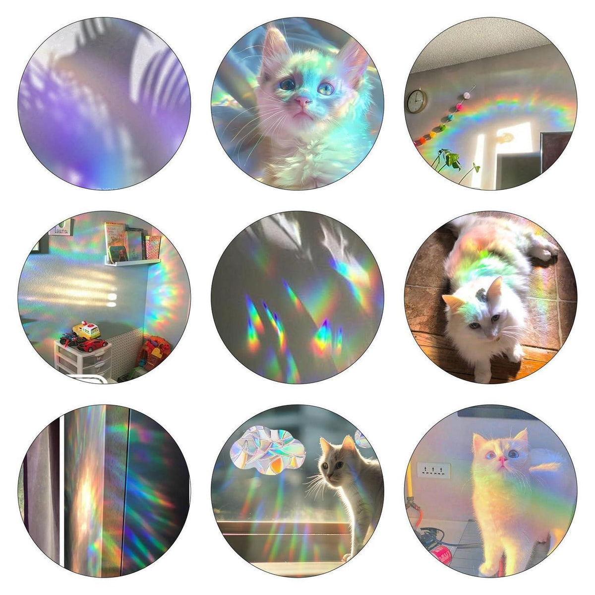 Prisma Fensteraufkleber Regenbogen Suncatcher Vogelschutz
