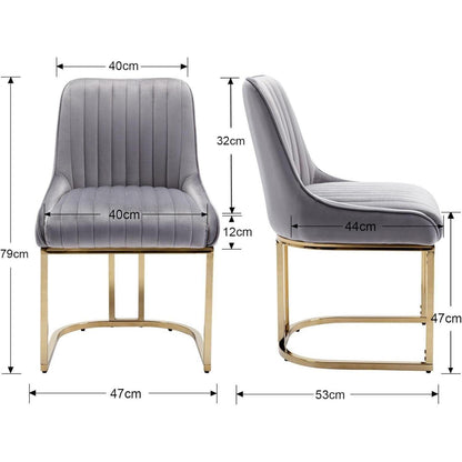 Ya-Home Esszimmerstühle Set Grau – Samt Polsterstühle mit Metallbeinen