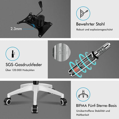 Ergonomischer Bürostuhl mit Lendenstütze, Schwarz Weiß