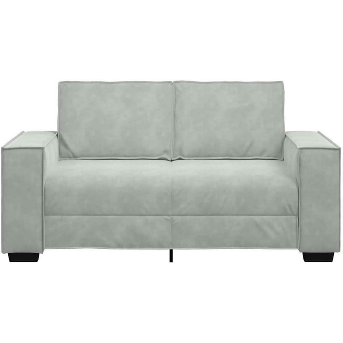 2-Sitzer Sofa Hellgrau Samt – Komfortable Polstercouch