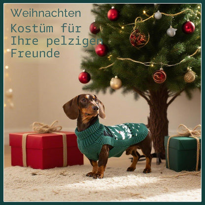 Dackel Pullover Grün M - Warmer Rollkragen Hundepullover