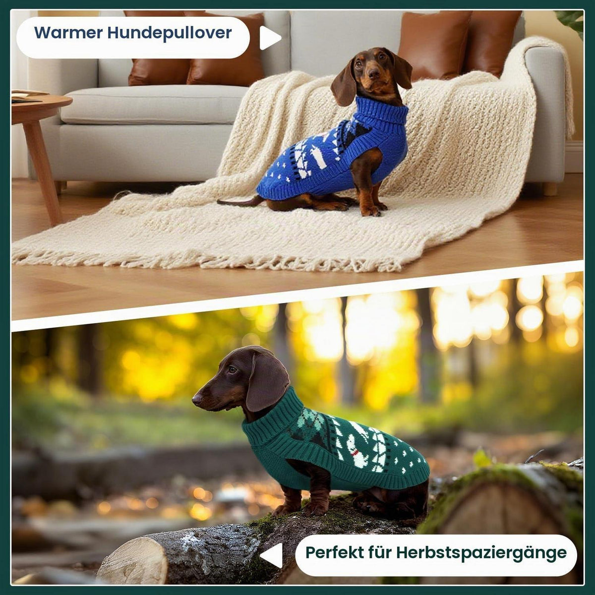 Dackel Pullover Grün M - Warmer Rollkragen Hundepullover