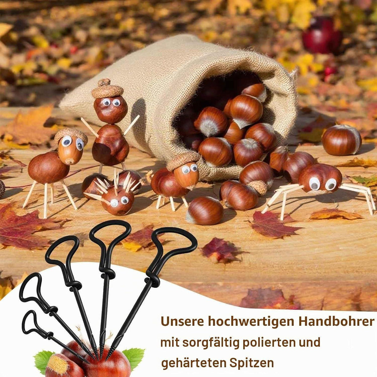 Kastanienbohrer Set Kinder – 698 Teile für Herbstbasteln
