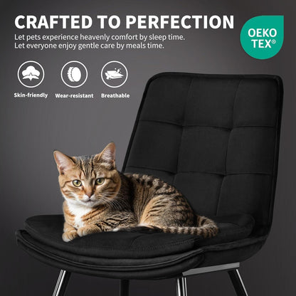 Esszimmerstühle Samt 4er-Set Schwarz – Gepolstert & Modern