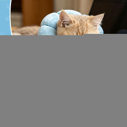 Katzen Halskrause Blumen Blau – Leckschutz & Komfort