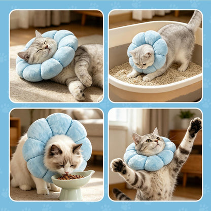 Katzen Halskrause Blumen Blau – Leckschutz & Komfort