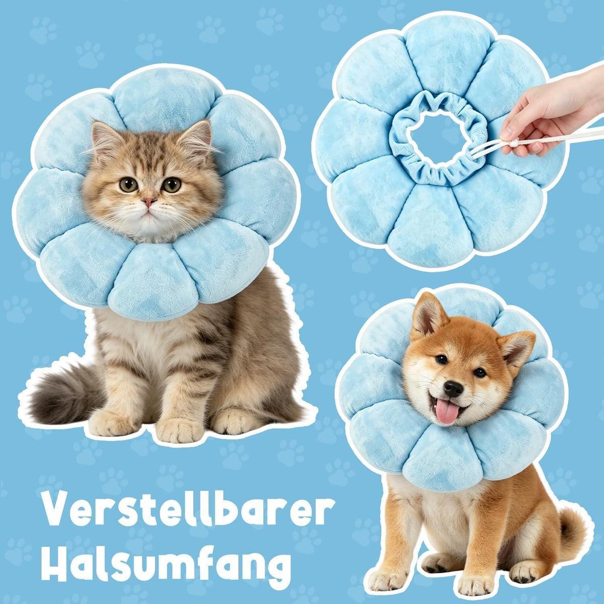 Katzen Halskrause Blumen Blau – Leckschutz & Komfort